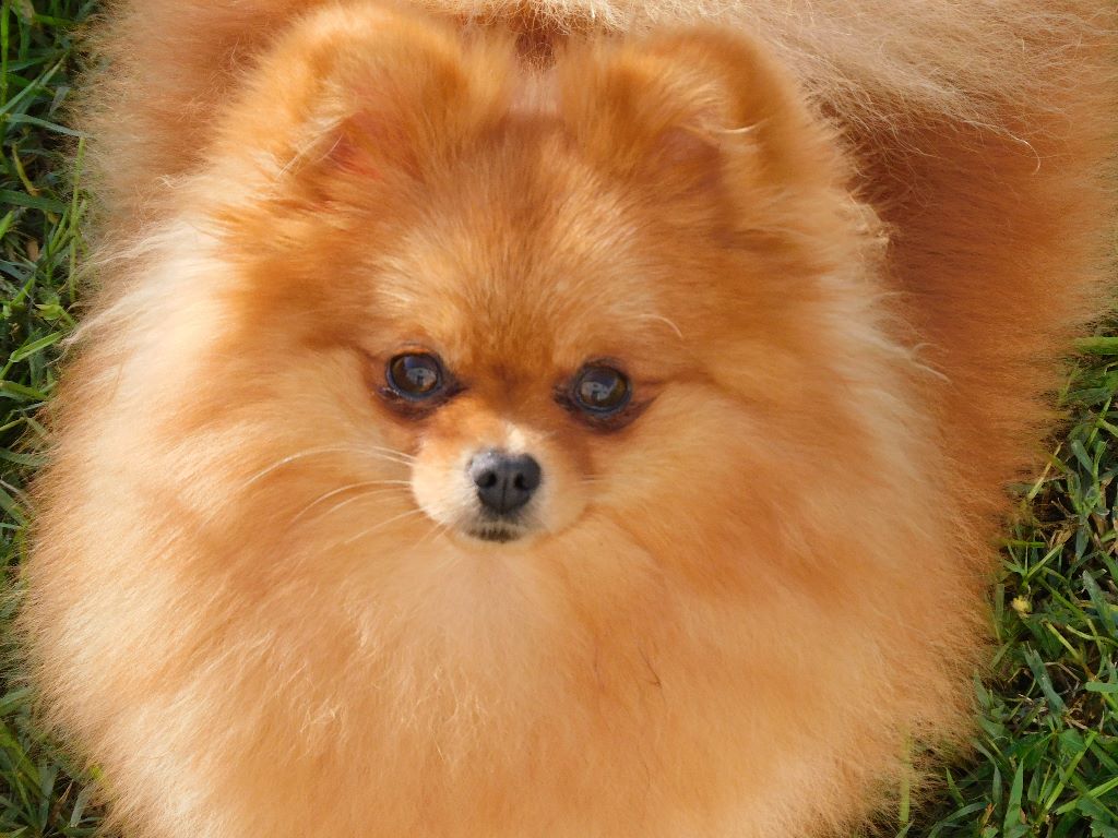 Onolulu de dame nature